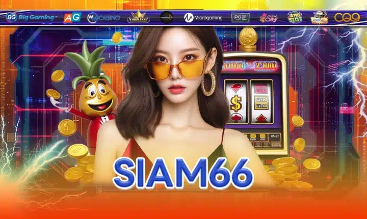 SIAM66